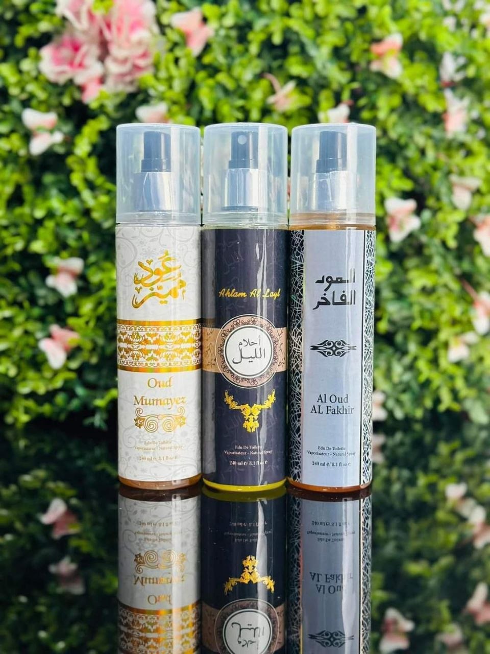 بدى اسبلاش خليجى